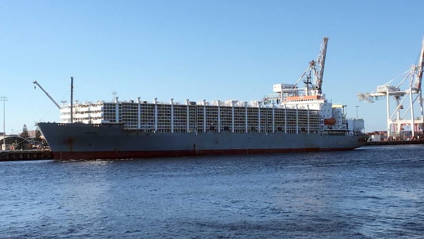 The ship MV Maysora berthed at Fremantle Port.