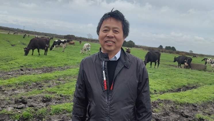A man standing in a paddock in Tasmania's north west with dairy cows in the background