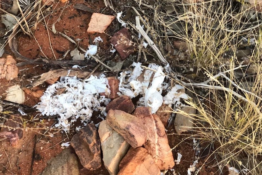 Shredded white toilet paper in amongst red rocks