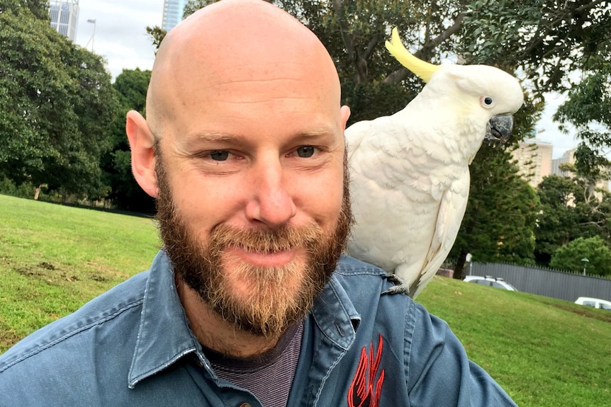 A man sits in a park with a cockatoo on his shoulder.