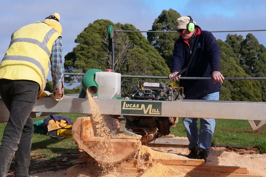 A redwood log being milled with a portable mill.