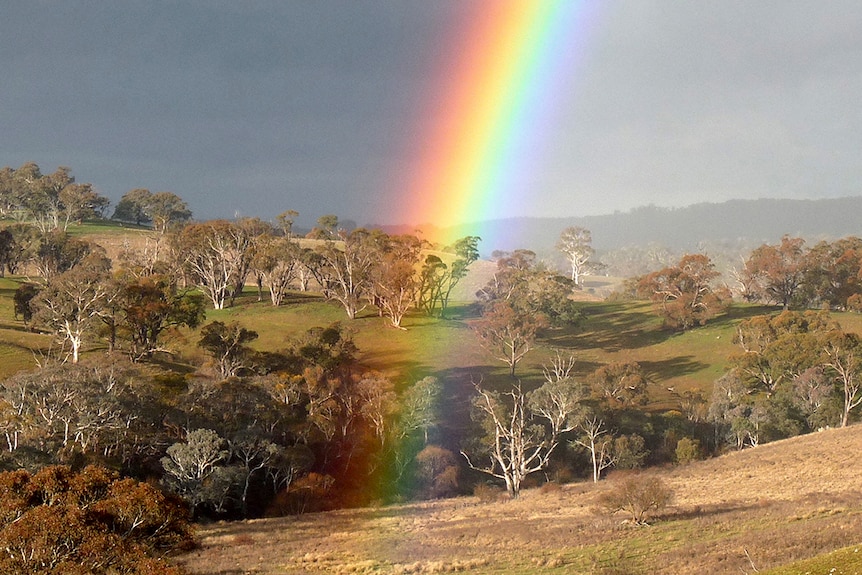 Rainbow near Binda, NSW