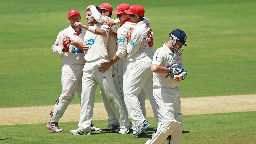 The Redbacks celebrate as the Blues' Brad Haddin walks off after being dismissed at Adelaide Oval.