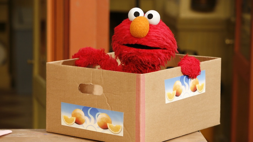 Elmo sitting in a cardboard box, with a slightly bewildered looking expression on his face