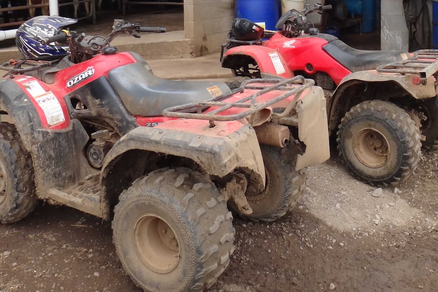 Two quad bikes