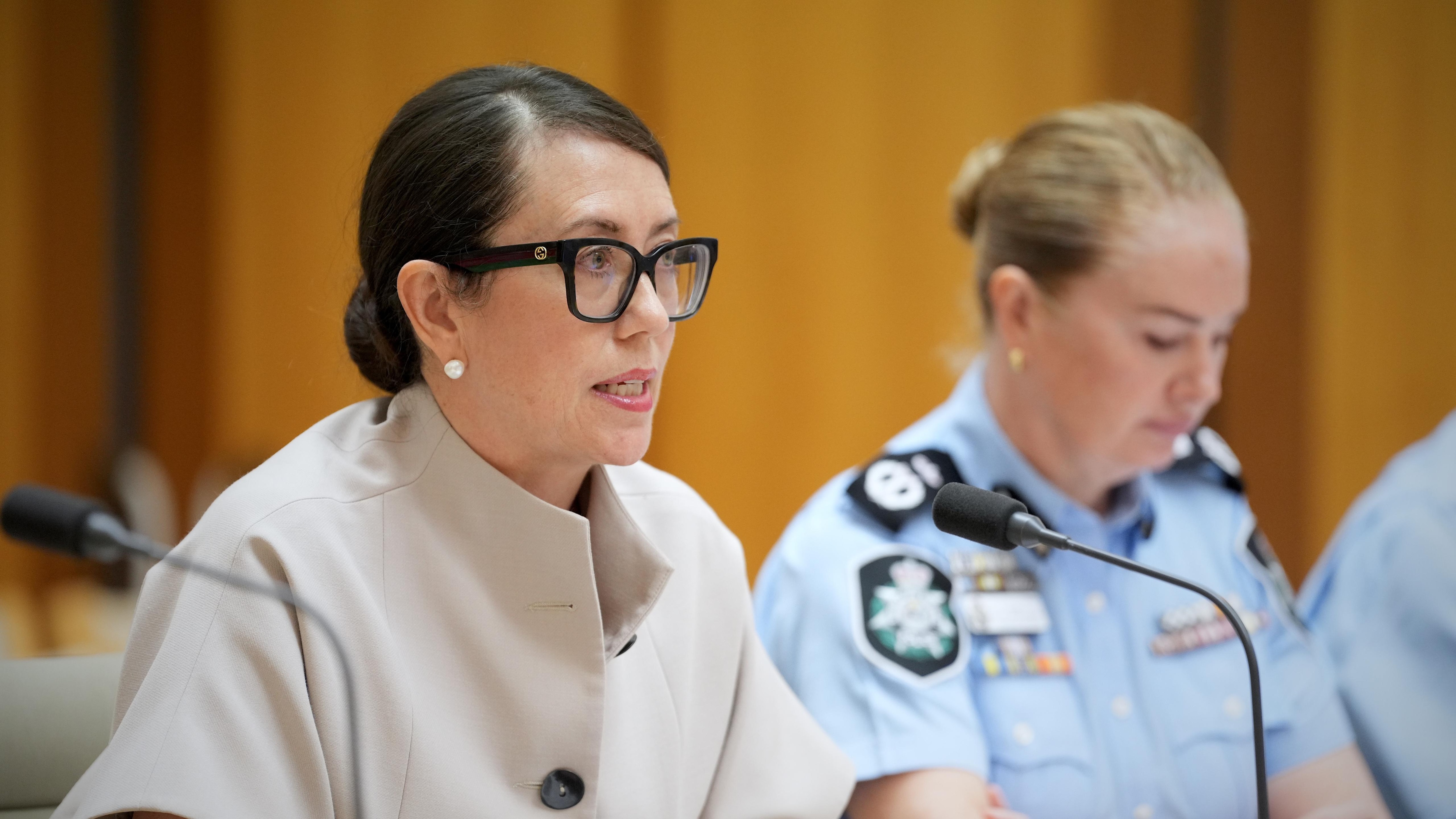 Claire McGinnis speaks at an inquiry.