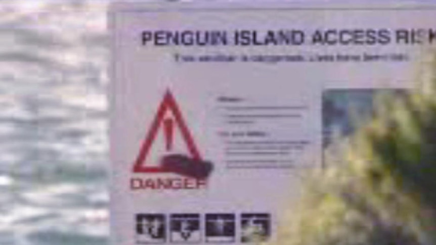 The sign at the crossing to Penguin island points out the risks