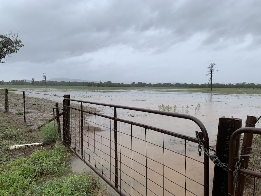 A farm paddock covered with large puddles of water.