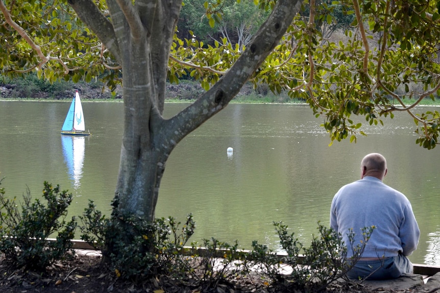A man watches his remote controlled model yacht as it sails on a lake.
