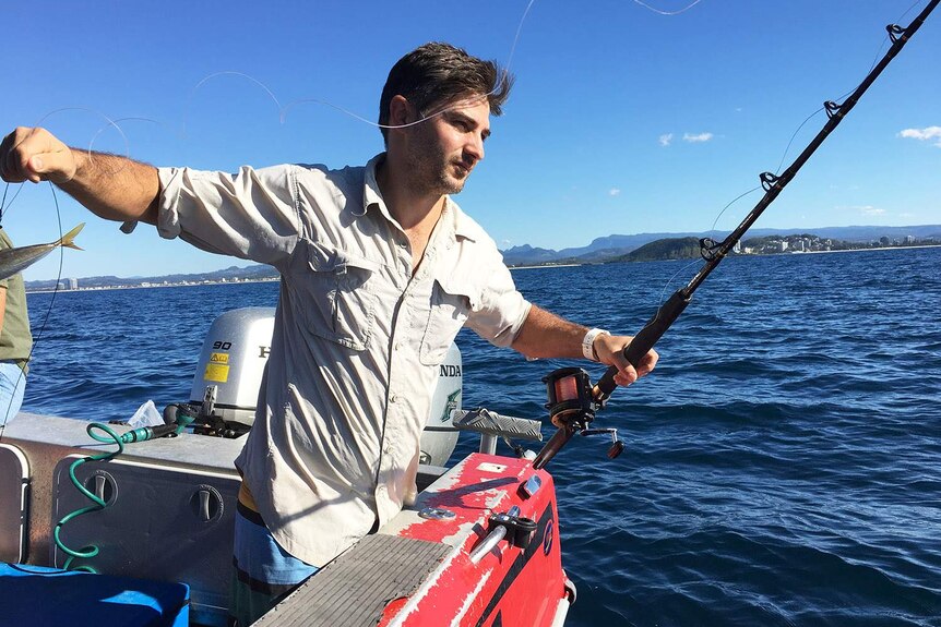 Shark researcher Johann Gustafson fishing for hammerhead sharks off Queensland's Gold Coast in May 2017