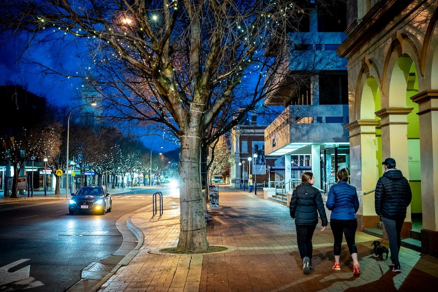 Three people and a dog walk along a street at night.