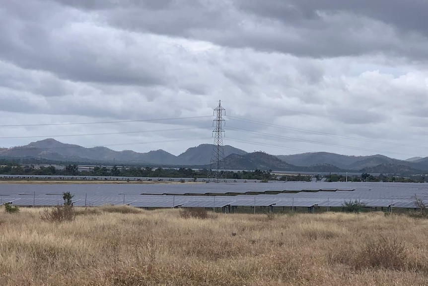 Solar Farm lining the road just outside Collinsville