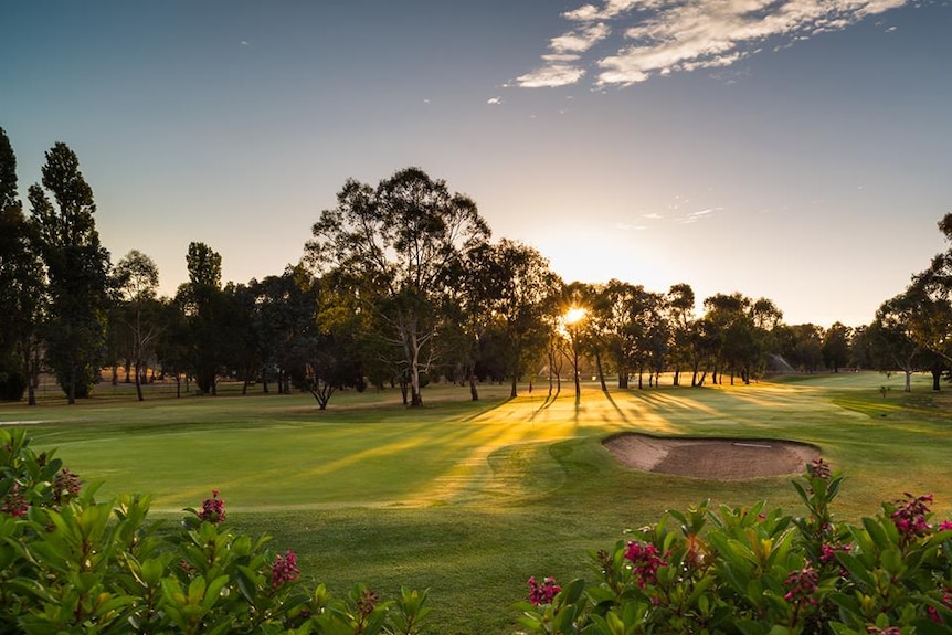 A vivid green fairway lined by trees on a golf course