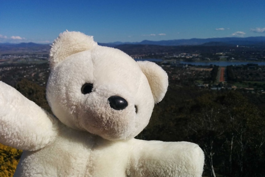 Teddy's Canberra tour