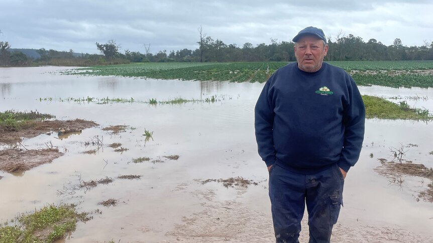 Man wearing blue hat, pants and jumper, hands in pocket, stands in a flooded field of green crops.