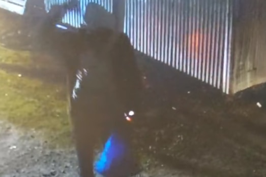 Grainy photo of a man in a hoodie carrying a blue bag away from a pile of donations