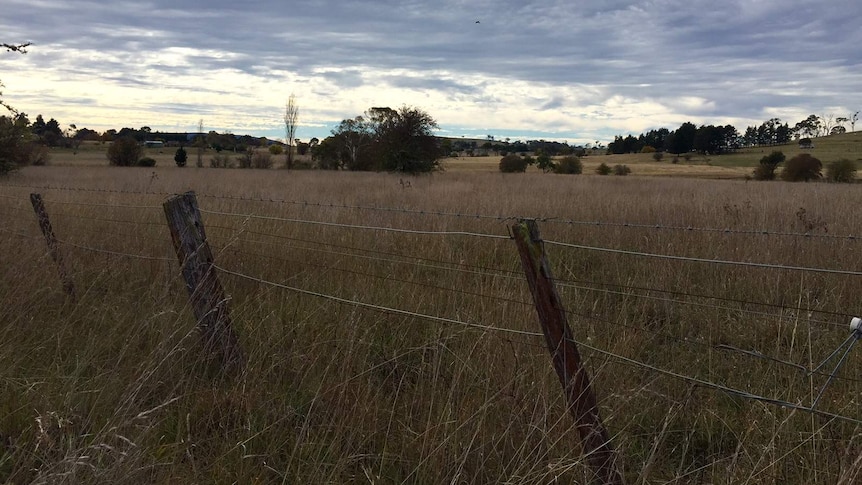 A leaning fence around a paddock with long grass and a few trees in the distance