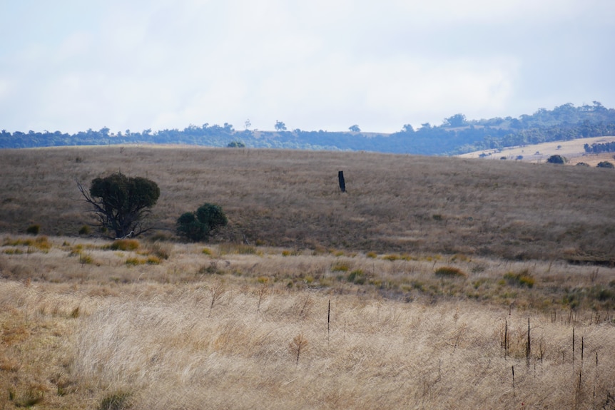 a piece of space debris spotted from a distance on a hill