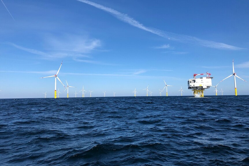 A large group of wind turbines sitting in the ocean offshore