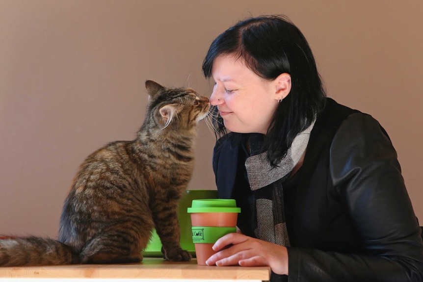 A customer touches noses with a cat.