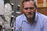 Dr Cameron Webb sits in his office where he has a giant replica of a mosquito
