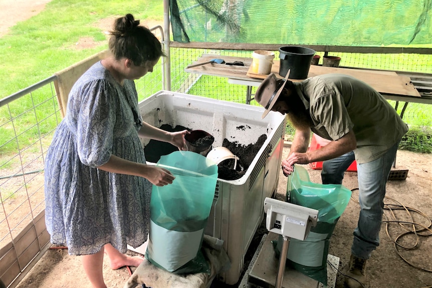 The couple fill up bags from a big bin containing rich looking compost.