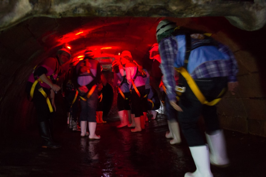 People explore Sydney's Tank Stream