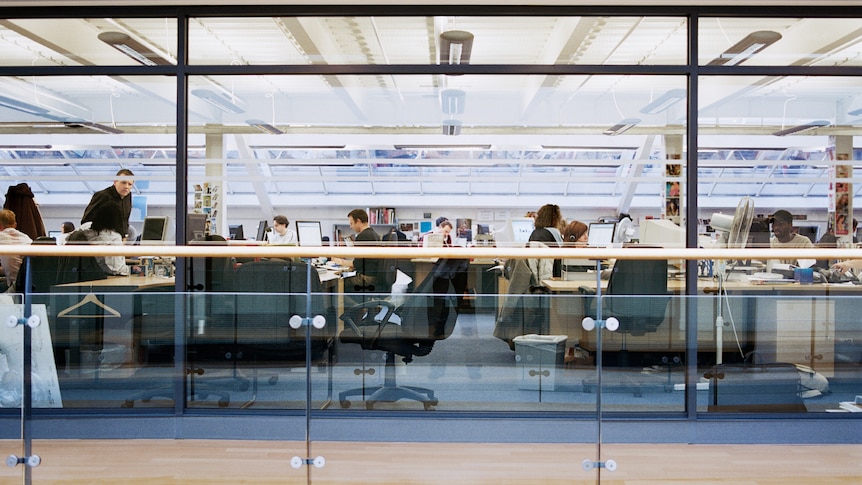 A wide shot of people in an office working at their desks