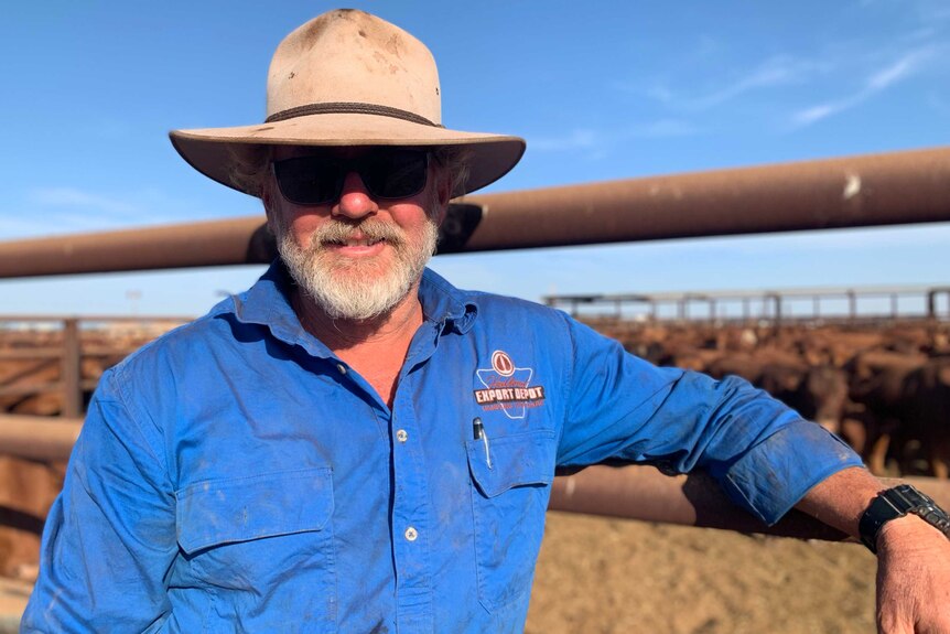 Man in blue shirt and large hat leaning on cattle yards