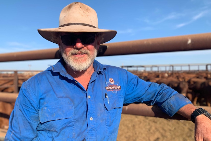 Man in blue shirt leaning on cattle yards