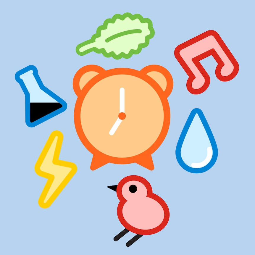 Cartoon illustration of a red bird, orange clock, red musical note, yellow thunderbolt and waterdrop.