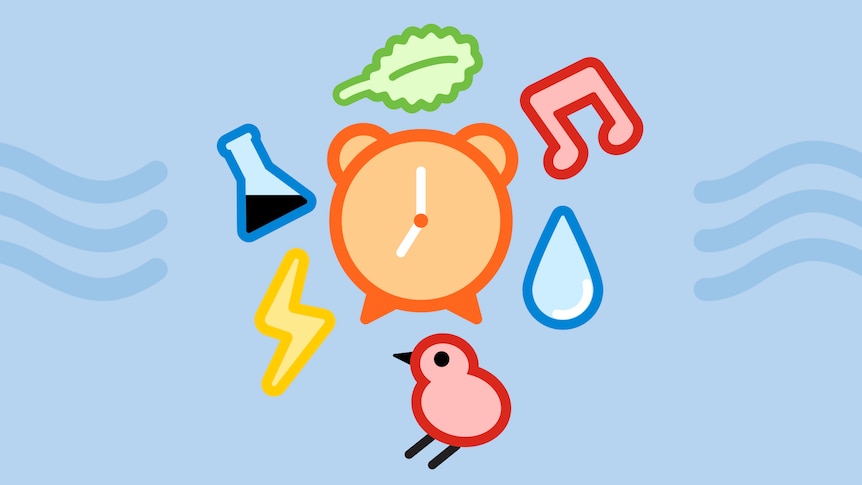 Cartoon illustration of a red bird, orange clock, red musical note, yellow thunderbolt and waterdrop.