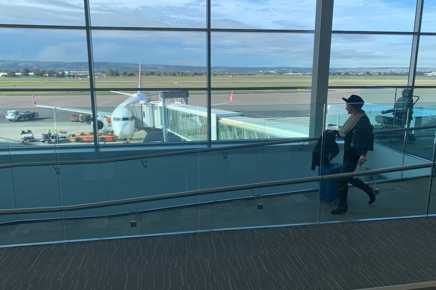 a person wearing a hat pushes a suitcase down a ramp towards an aeroplane