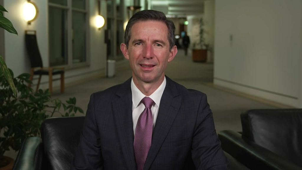 Finance Minister says the fuel excise cut will decrease inflation - ABC ...