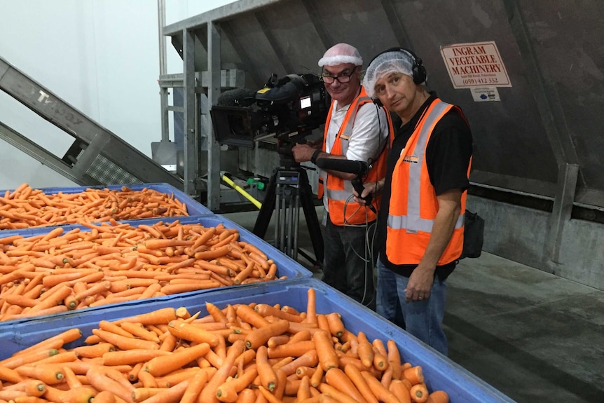 Landline crew Andrew Burch and Chris Nilsen smile as they film tubs of carrots.