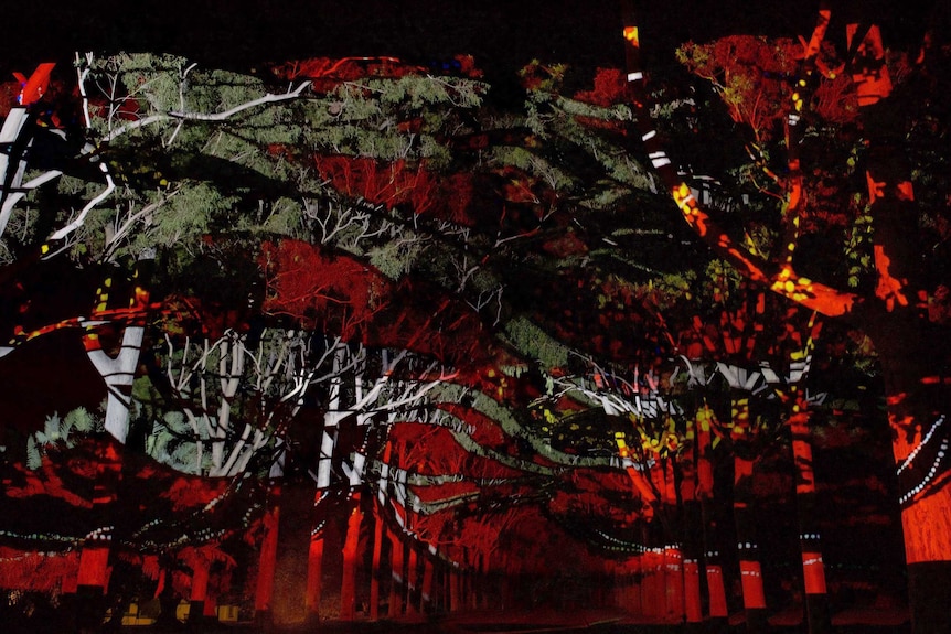 Vibrant red and yellow patterns projected on trees in Kings Park