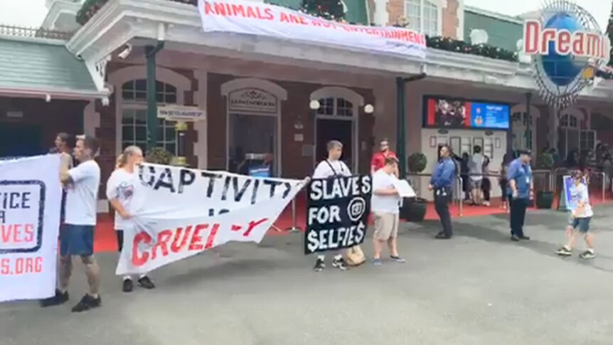 Protestors from Justice for Captives standing with signs outside Dreamworld.