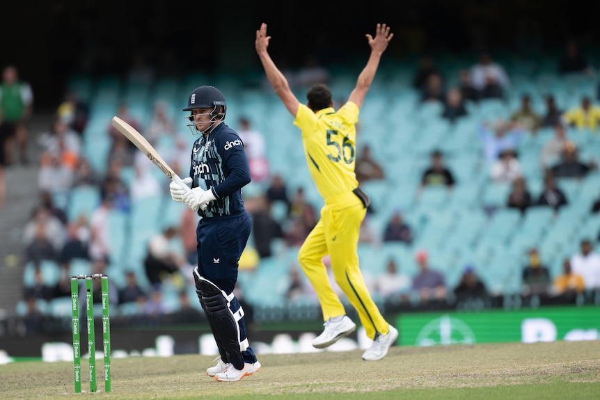 An Australian fast bowler raises his arms in triumph in the background as England batsman looks dejected after being given out.