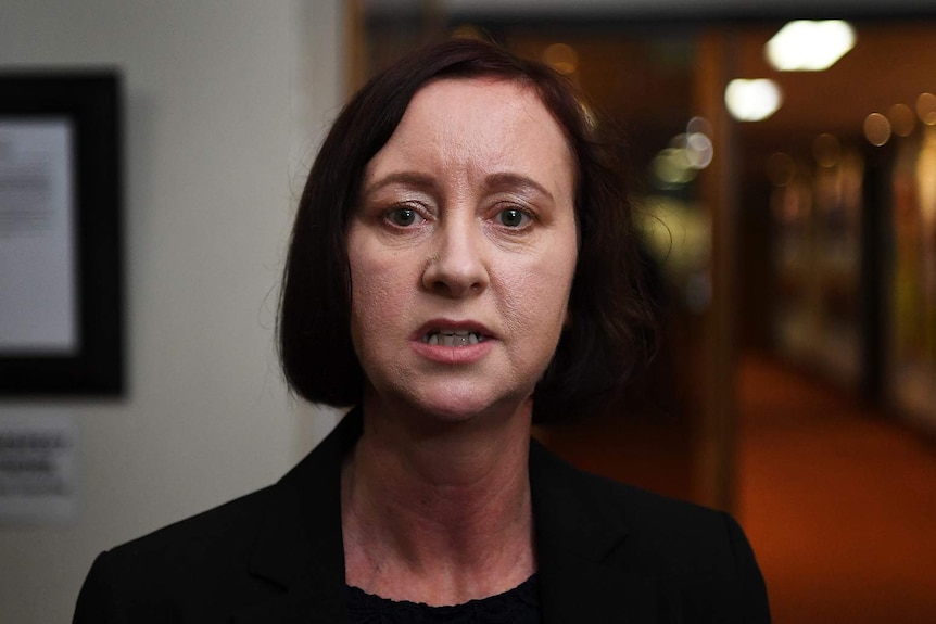 Queensland Attorney-General Yvette D'Ath speaks to the media.