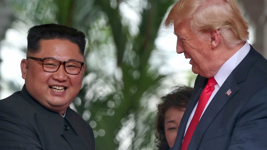 Donald Trump gestures as he talks to smiling Kim Jong-un.