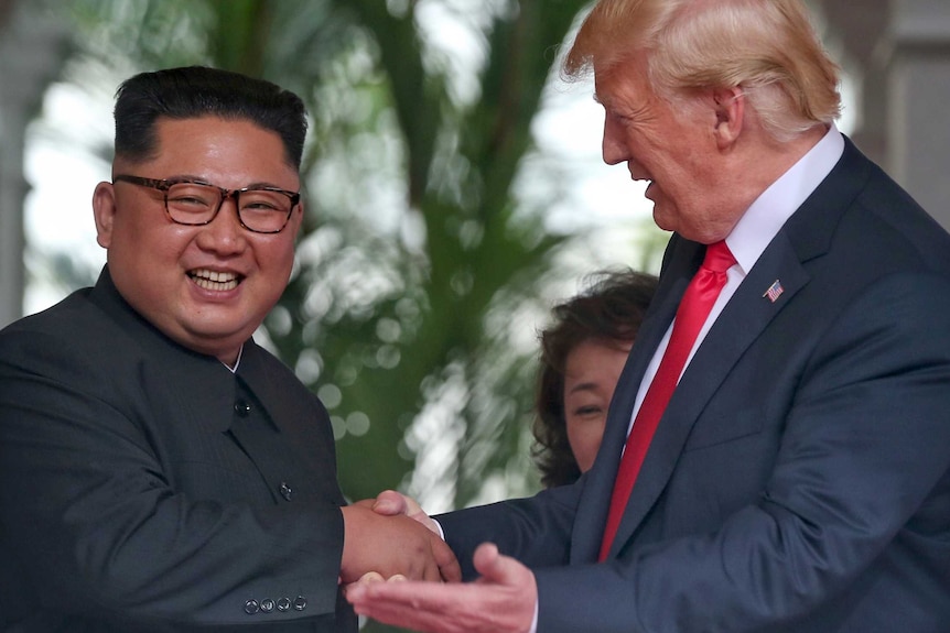 Donald Trump gestures as he talks to smiling Kim Jong-un.