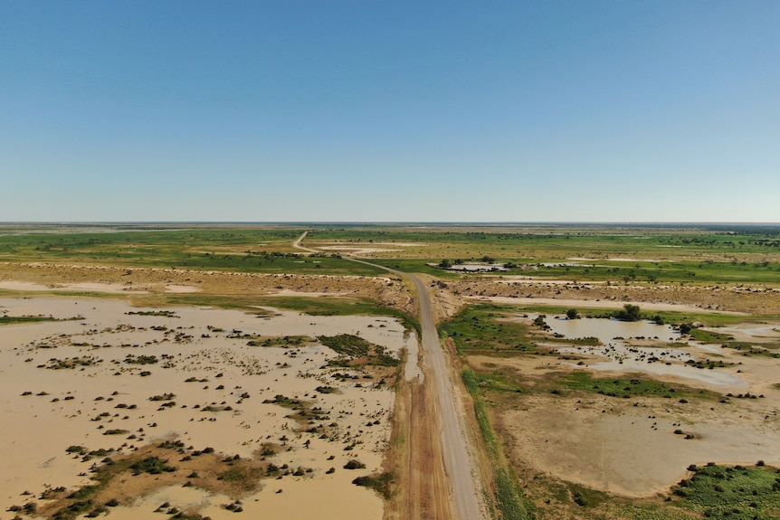 An ariel view of the highway into Birdsville with floodwaters on one side and bright green on the other. 