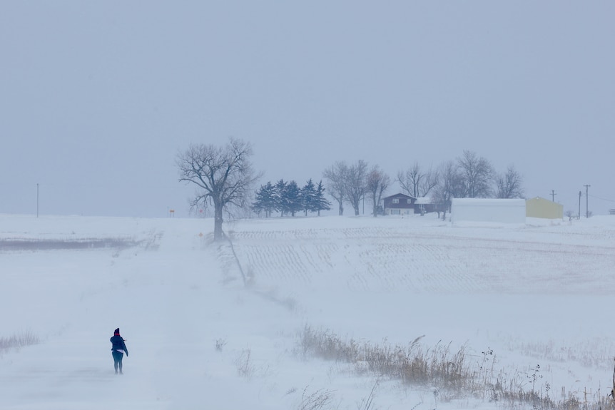 A person walks through a snowy field 
