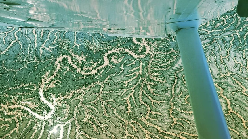 View from aircraft over flooded river plain
