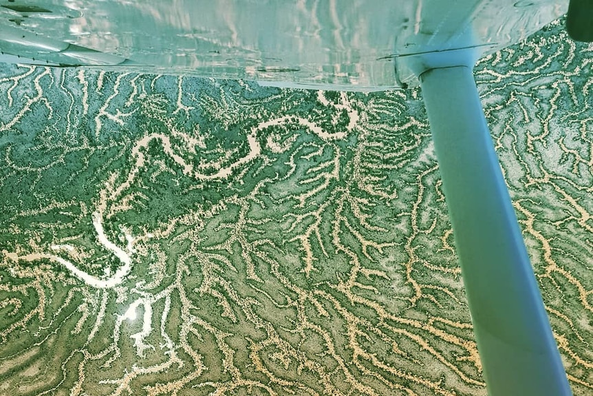 View from aircraft over flooded river plain