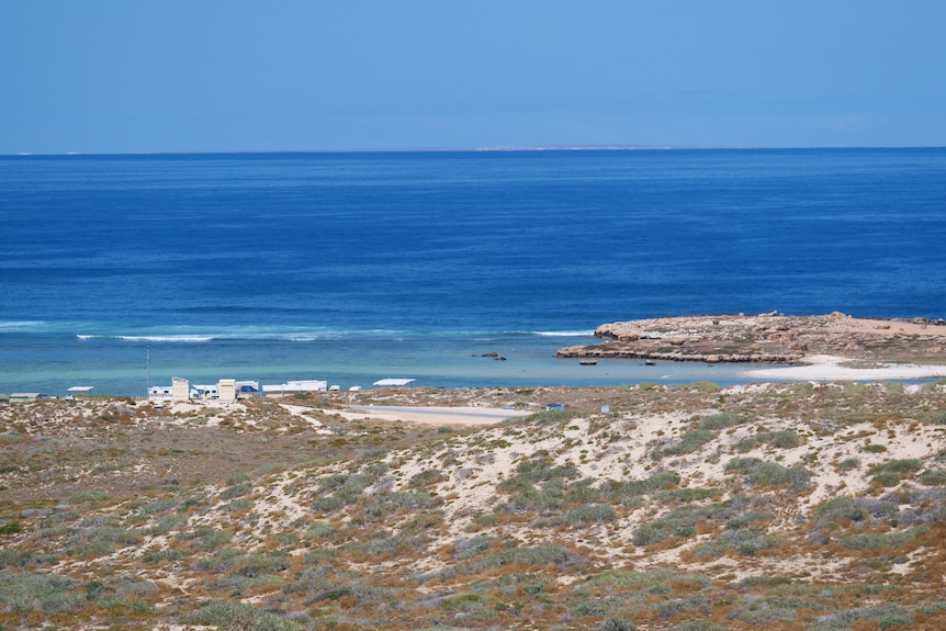 A wide shot of the Blowholes Shacks campsite surrounded by the ocean and sand dunes.