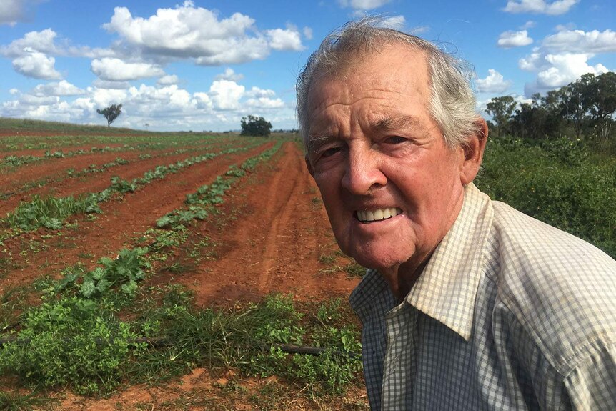 A close up of an old man sending in front of a field in a pale collared shirt.