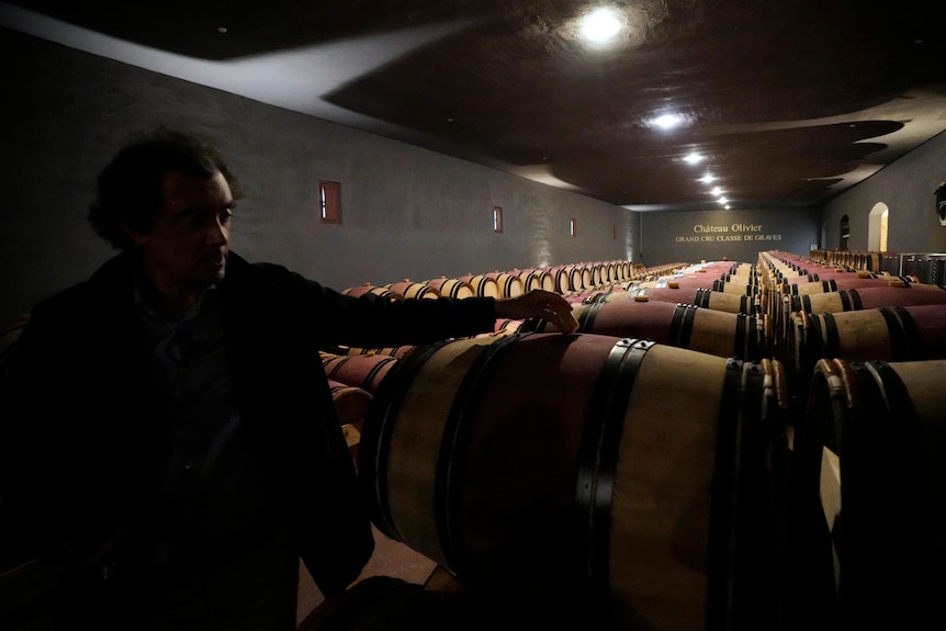 Un hombre pone su mano sobre un barril de vino en una bodega llena de barriles