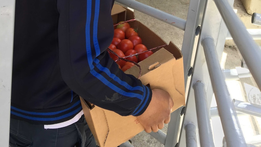Ameer, 16, carries a large box of tomatoes into a checkpoint turnstile in downtown Hebron.