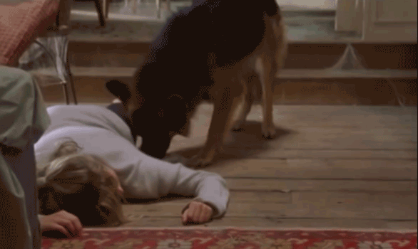 Bridget Jones laying on the floor with dogs